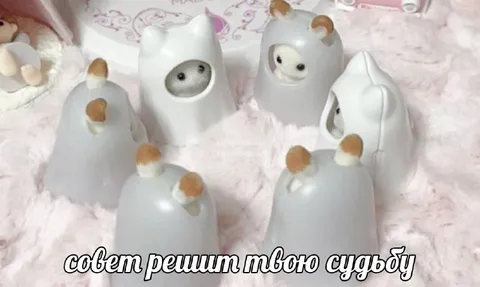 Совет решит твою судьбу