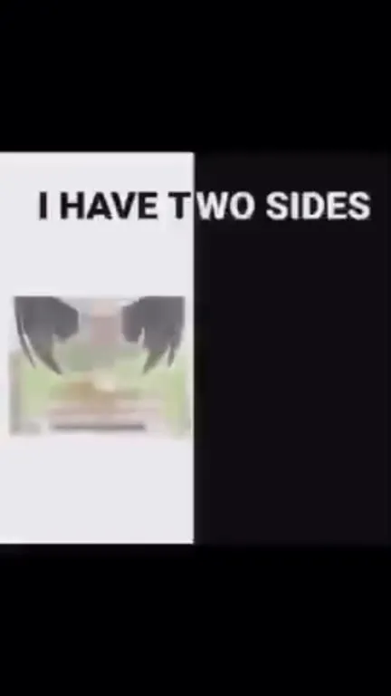 I Have Two Sides Anime Meme
