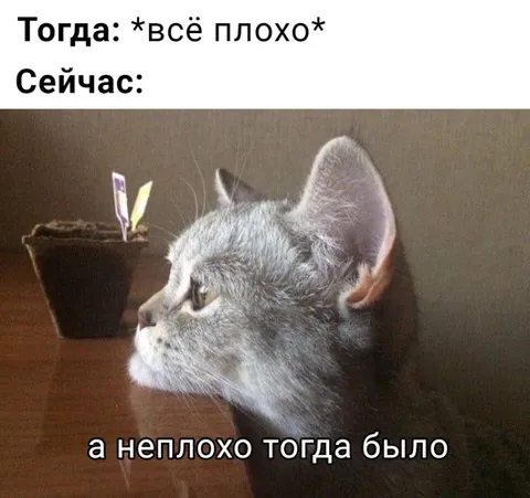 А неплохо тогда было