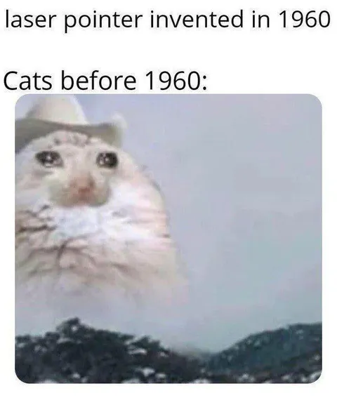 Cats Before Laser Pointers