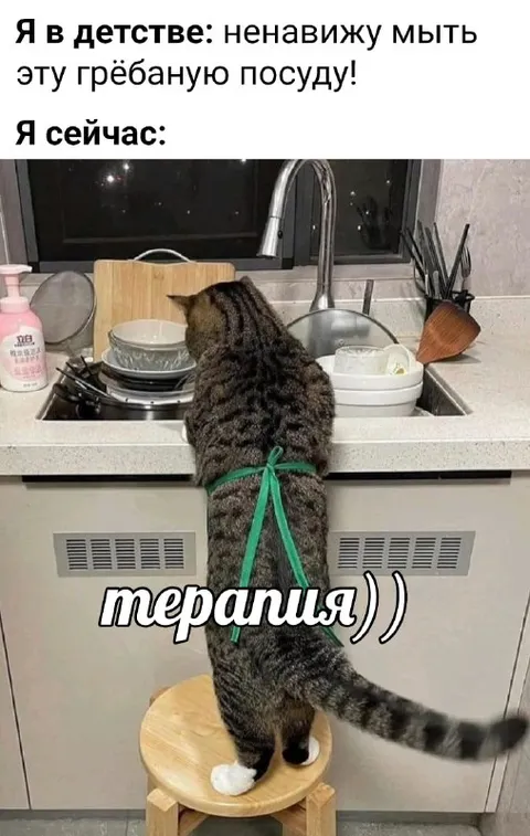 Кот моет посуду как терапия
