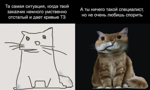 Кривое ТЗ и спор с заказчиком