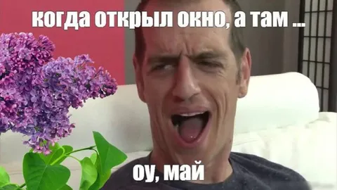 Когда открыл окно, а там сирень