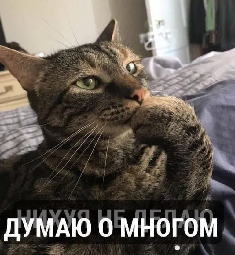 Нихуя не понял, думаю о многом