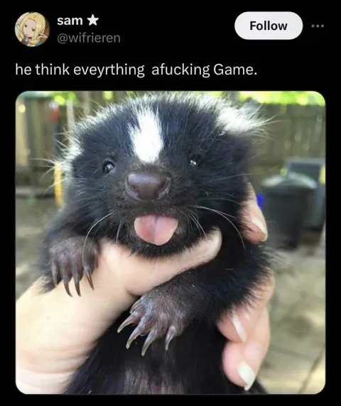 Everything Is a Fucking Game