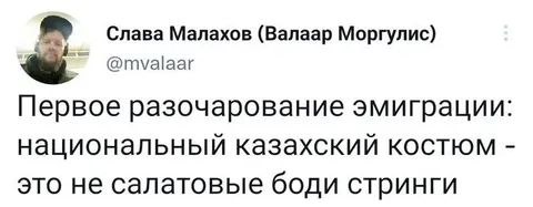Первое разочарование эмиграции