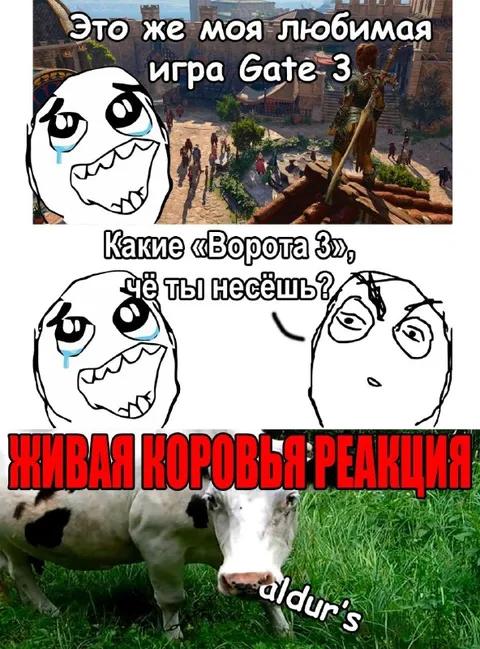 Живая коровья реакция на Gate 3