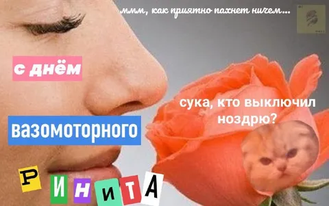 С днём вазомоторного ринита