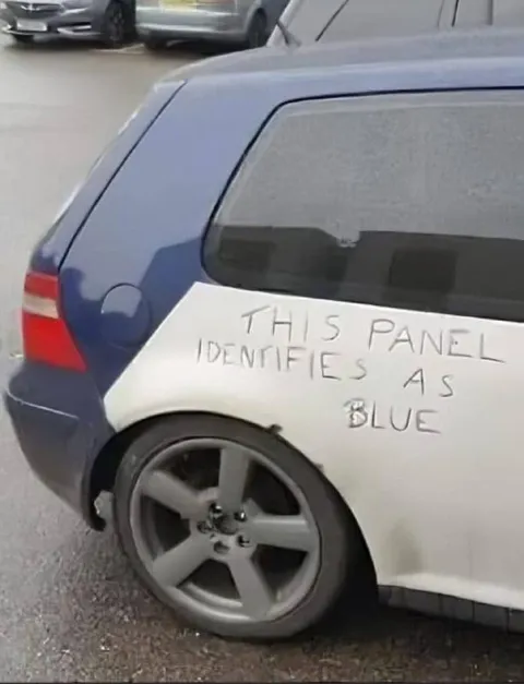 This Panel Identifies as Blue