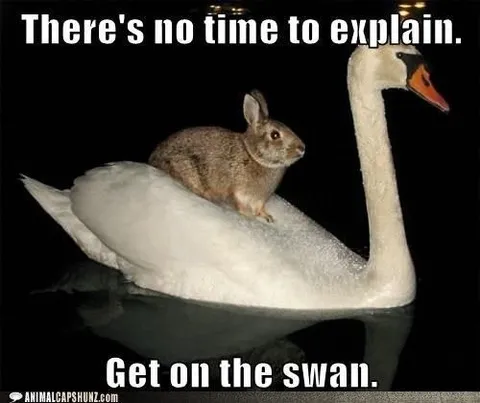 Get on the Swan