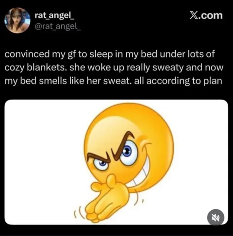 Sweaty Girlfriend Bed Plan