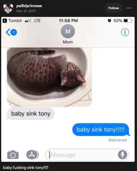 Baby Sink Tony Text