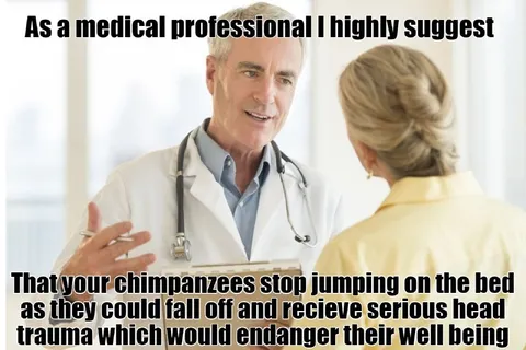 Doctor Advises Chimpanzees Stop Jumping