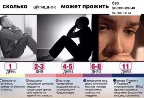 Сколько айтишник проживёт без повышения