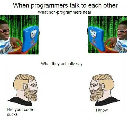 When Programmers Talk to Each Other
