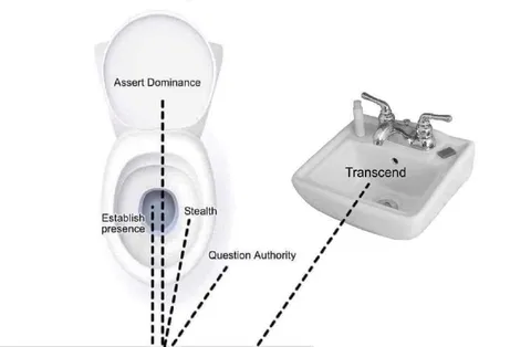 Toilet Sink Power Hierarchy