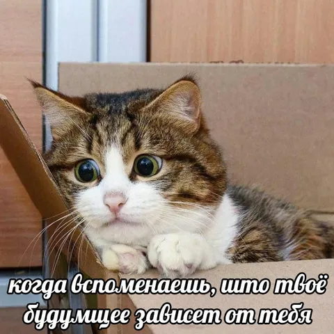 Будущее зависит от тебя