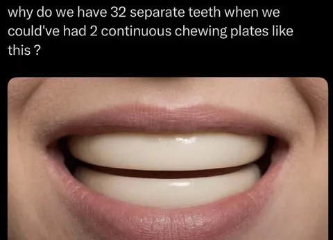 Two Continuous Chewing Plates