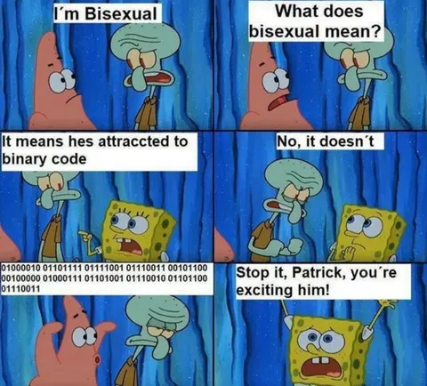 Bisexual Means Binary Code