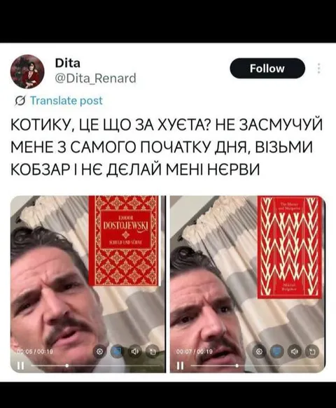 Котик, візьми Кобзар