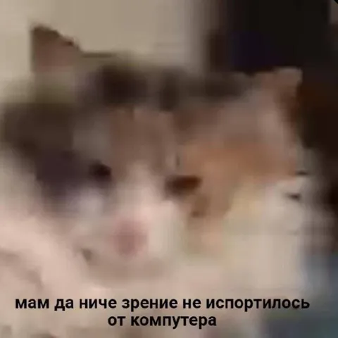 Зрение не испортилось от компьютера