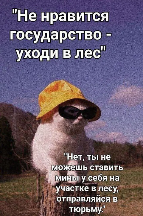 Кот в маске ставит мины