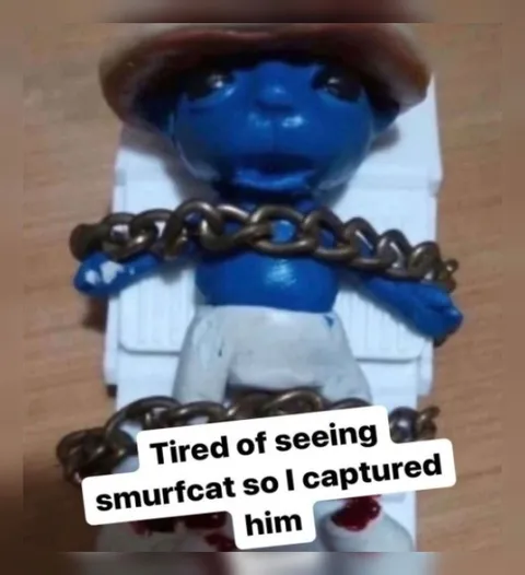 Captured Smurfcat