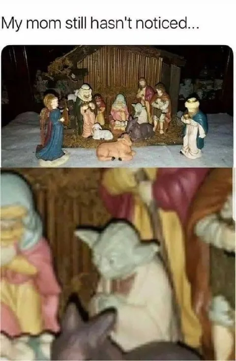 Mom Still Hasn't Noticed the Cats