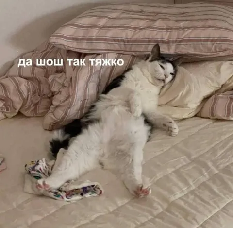 Да шо шо так тяжко
