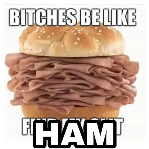 Bitches Be Like Ham