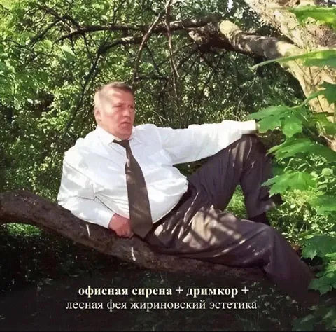 Жириновский в лесном дримкоре