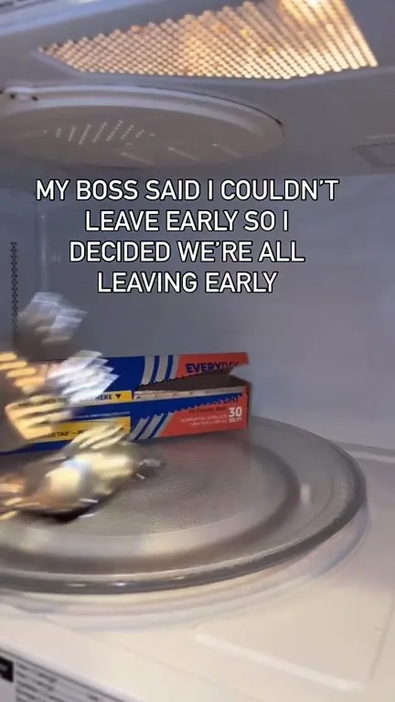 Leaving Early Microwave Heist