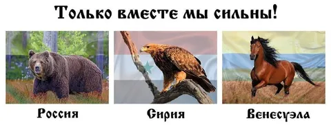 Только вместе мы сильны