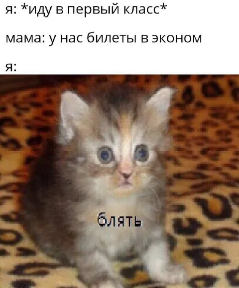 Билеты в эконом
