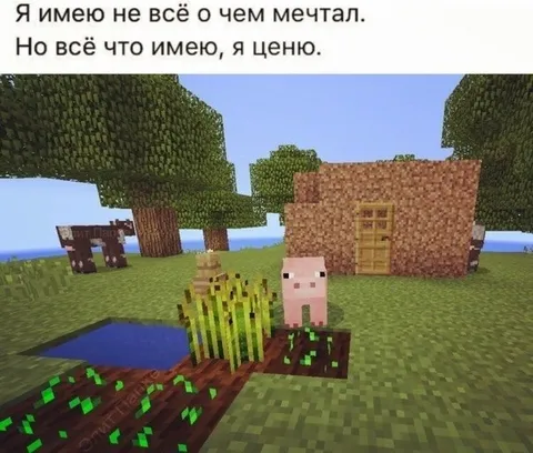 Я ценю всё, что имею