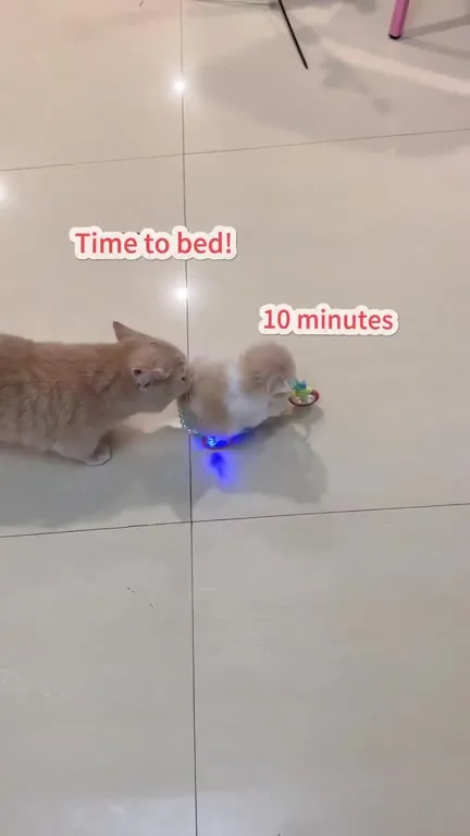 Go to Bed Now