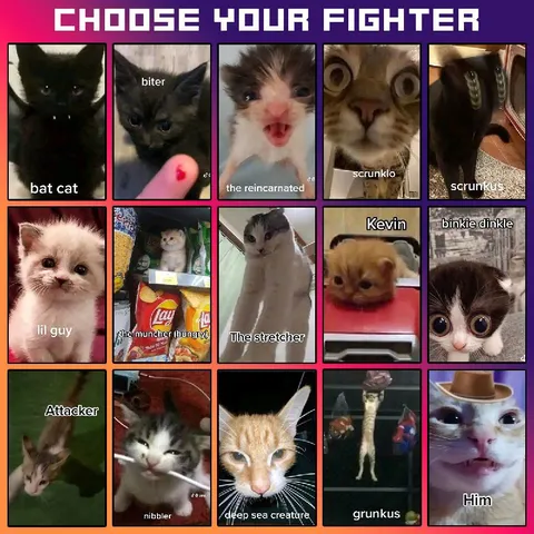 Choose Your Fighter Cats