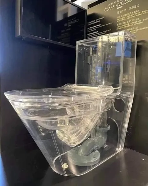 Transparent Toilet Plumbing Exhibit