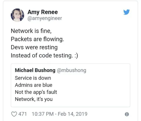 Network Is Fine, Service Is Down