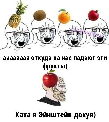 Фрукты падают на Эйнштейна