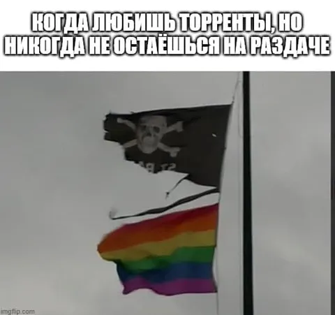 Когда любишь торренты, но не раздаёшься