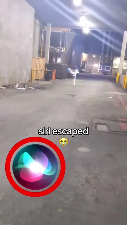 Siri Escaped Into the Night