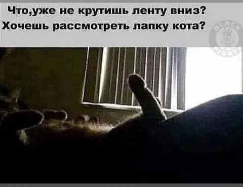Кот показывает лапку