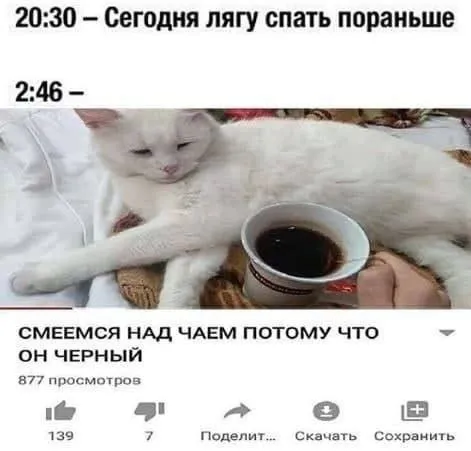 Кот пьёт чёрный чай ночью