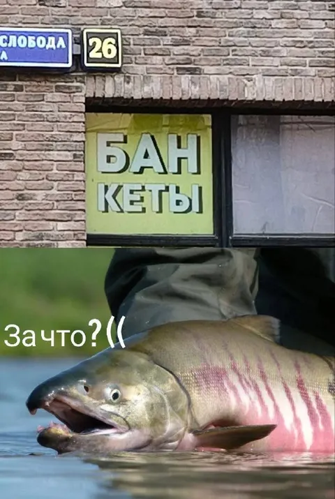 Бан кеты — за что?