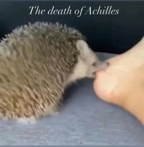 The Death of Achilles