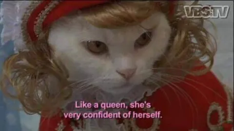 Confident Queen Cat