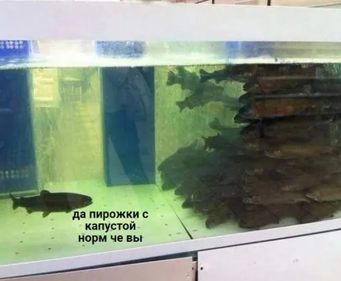 Пирожки с капустой для рыбы