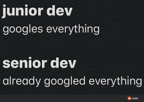 Junior Dev Googles Everything