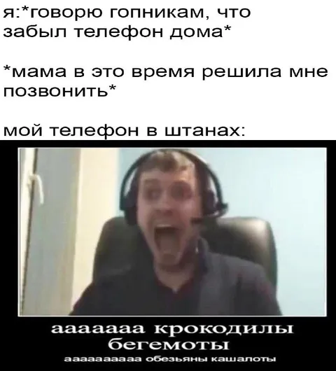 Телефон в штанах орёт